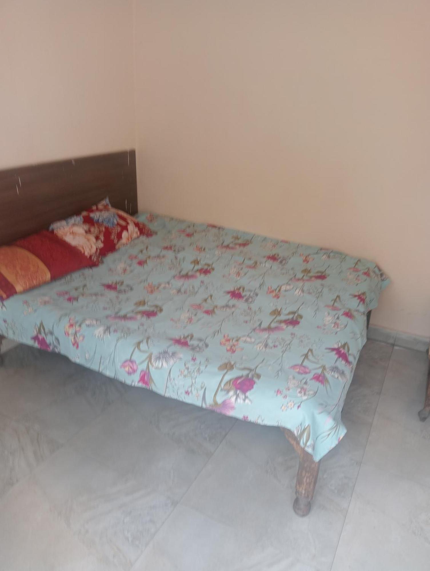 Ever Green Guest House Travel & Pg Νέο Δελχί Εξωτερικό φωτογραφία