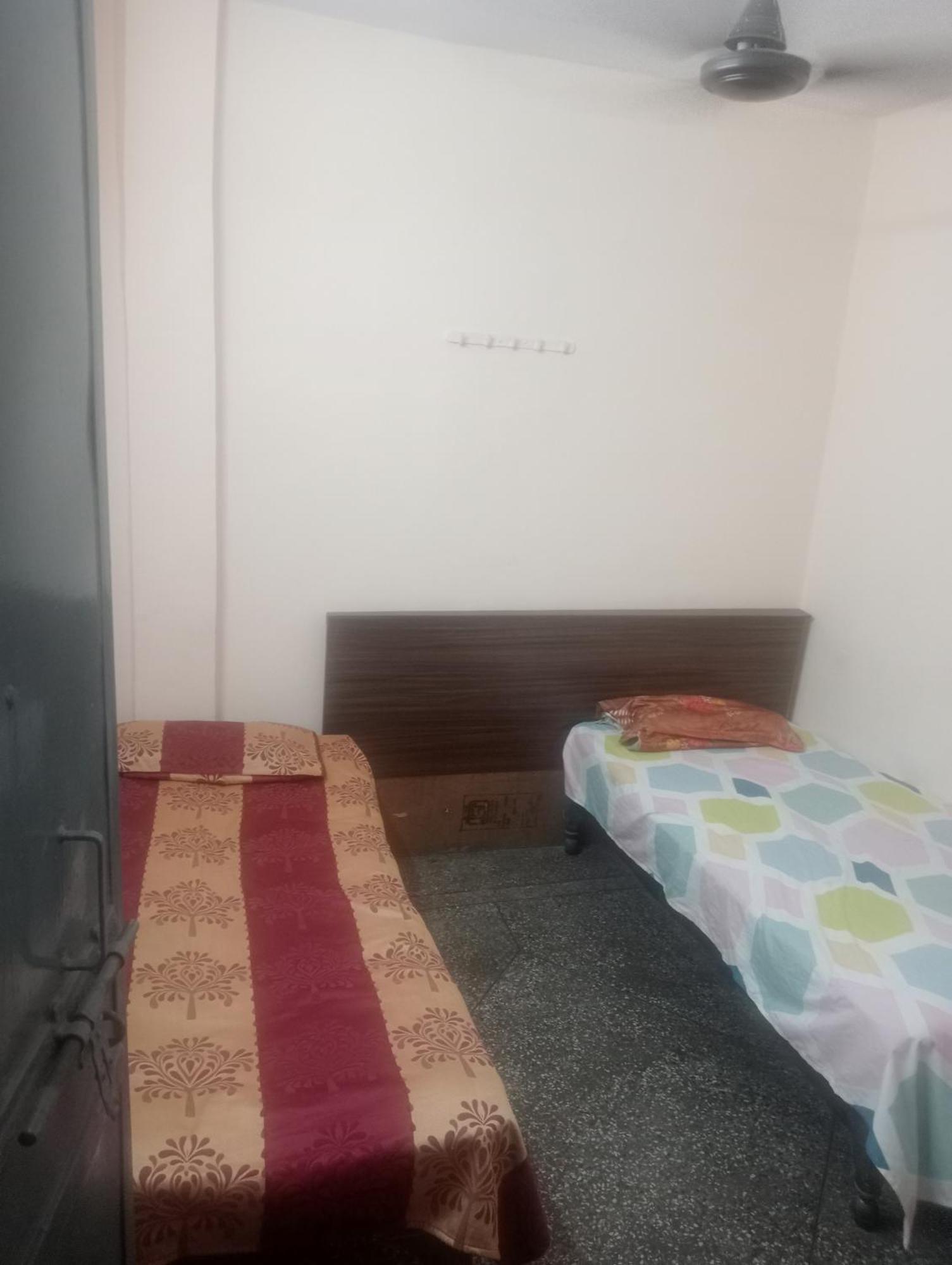 Ever Green Guest House Travel & Pg Νέο Δελχί Εξωτερικό φωτογραφία